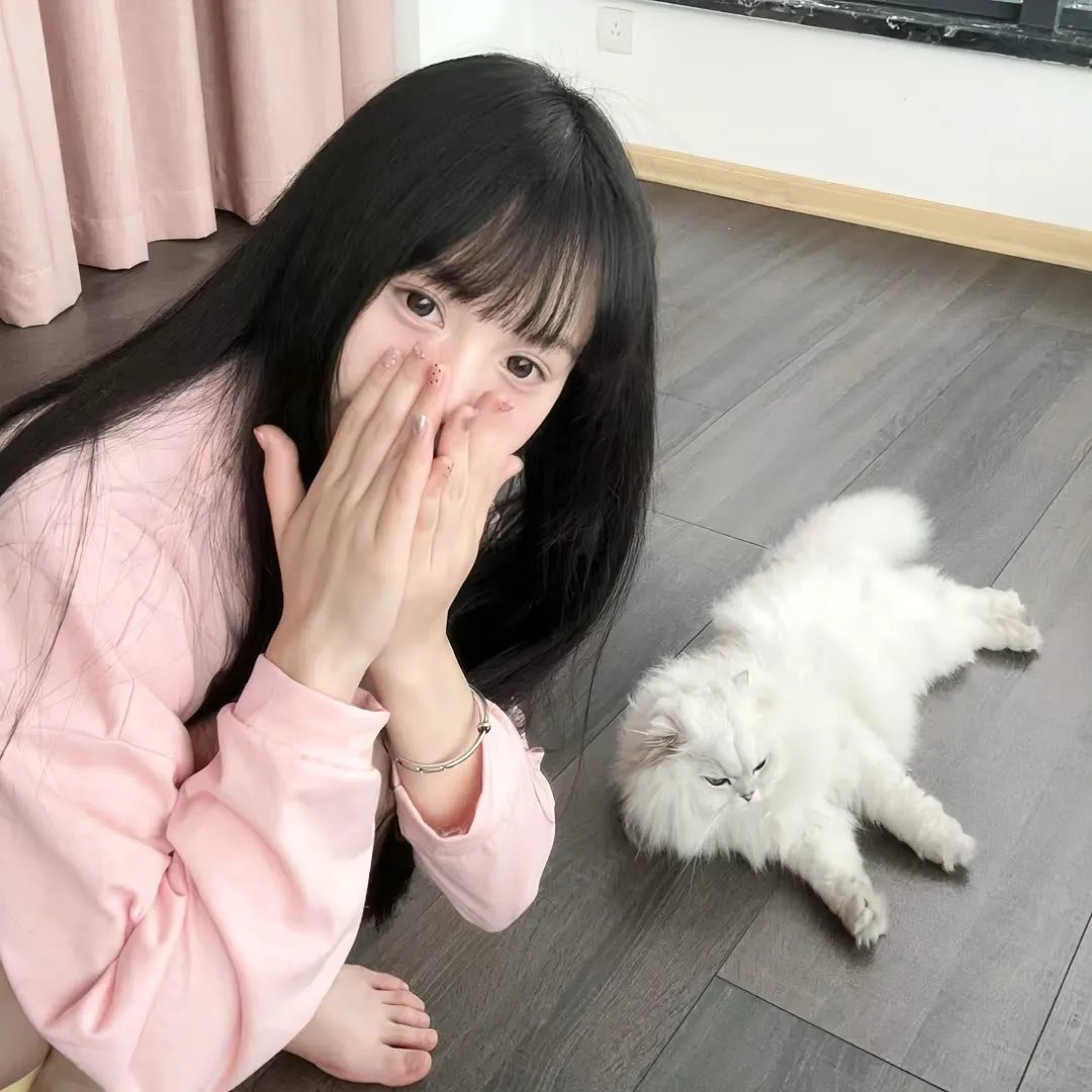 猫狗大战3：爪爪集结！